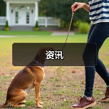 资讯(图2) 资讯(图2)