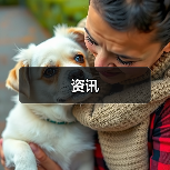 资讯（图2）