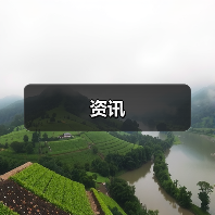 资讯