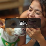 资讯（图3）
