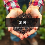 资讯(图2) 资讯(图2)