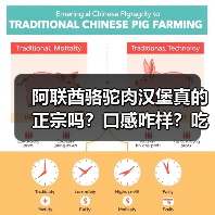 阿联酋骆驼肉汉堡真的正宗吗?口感咋样?吃起来像牛肉还是马肉?(图1) 阿联酋骆驼肉汉堡真的正宗吗?口感咋样?吃起来像牛肉还是马肉?(图1)