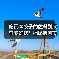 施瓦本饺子的佐料到底有多好吃?揭秘德国美食的灵魂伴侣!(图2) 施瓦本饺子的佐料到底有多好吃?揭秘德国美食的灵魂伴侣!(图2)