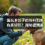 施瓦本饺子的佐料到底有多好吃?揭秘德国美食的灵魂伴侣!(图4) 施瓦本饺子的佐料到底有多好吃?揭秘德国美食的灵魂伴侣!(图4)
