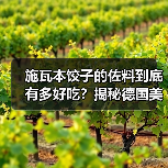 施瓦本饺子的佐料到底有多好吃？揭秘德国美食的灵魂伴侣！