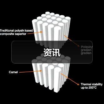 资讯(图2) 资讯(图2)