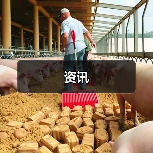 资讯（图2）
