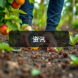 资讯