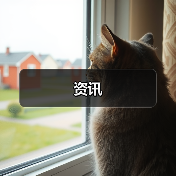 资讯（图4）