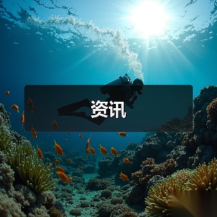 资讯(图4) 资讯(图4)