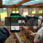 资讯