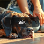 资讯（图3）