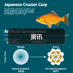 资讯