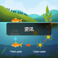 资讯