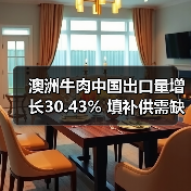 澳洲牛肉中国出口量增长30.43% 填补供需缺口