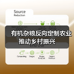 有机杂粮反向定制农业推动乡村振兴