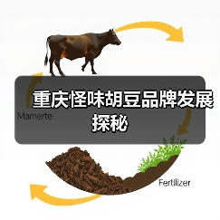 重庆怪味胡豆品牌发展探秘(图3) 重庆怪味胡豆品牌发展探秘(图3)