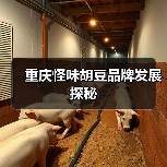 重庆怪味胡豆品牌发展探秘(图1) 重庆怪味胡豆品牌发展探秘(图1)