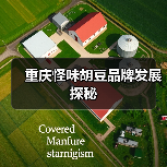 重庆怪味胡豆品牌发展探秘(图4) 重庆怪味胡豆品牌发展探秘(图4)