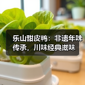 乐山甜皮鸭:非遗年味传承,川味经典滋味(图1) 乐山甜皮鸭:非遗年味传承,川味经典滋味(图1)