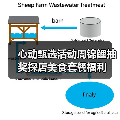 心动甄选活动周锦鲤抽奖探店美食套餐福利(图2) 心动甄选活动周锦鲤抽奖探店美食套餐福利(图2)