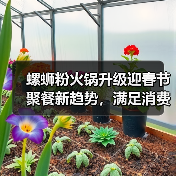 螺蛳粉火锅升级迎春节聚餐新趋势，满足消费升级需求
