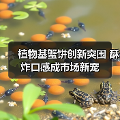 植物基蟹饼创新突围 酥炸口感成市场新宠(图3) 植物基蟹饼创新突围 酥炸口感成市场新宠(图3)
