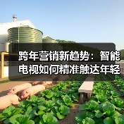 跨年营销新趋势:智能电视如何精准触达年轻群体?(图2) 跨年营销新趋势:智能电视如何精准触达年轻群体?(图2)