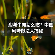 澳洲牛肉怎么吃?中国风味做法大揭秘(图2) 澳洲牛肉怎么吃?中国风味做法大揭秘(图2)