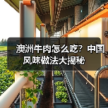 澳洲牛肉怎么吃?中国风味做法大揭秘(图3) 澳洲牛肉怎么吃?中国风味做法大揭秘(图3)