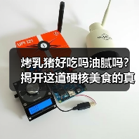 烤乳猪好吃吗油腻吗？揭开这道硬核美食的真相！