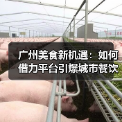 广州美食新机遇：如何借力平台引爆城市餐饮？