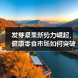 发芽坚果新势力崛起,健康零食市场如何突破瓶颈?(图4) 发芽坚果新势力崛起,健康零食市场如何突破瓶颈?(图4)