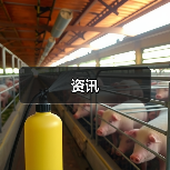 资讯(图4) 资讯(图4)