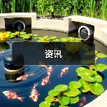 资讯(图1) 资讯(图1)