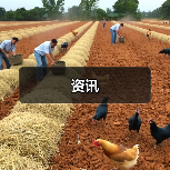 资讯(图1) 资讯(图1)