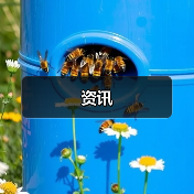 资讯(图4) 资讯(图4)