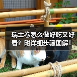 瑞士卷怎么做好吃又好看?附详细步骤图解!(图1) 瑞士卷怎么做好吃又好看?附详细步骤图解!(图1)