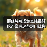 蘑菇炖鸡汤怎么炖最好吃?掌握这些窍门让你汤鲜肉嫩!(图4) 蘑菇炖鸡汤怎么炖最好吃?掌握这些窍门让你汤鲜肉嫩!(图4)