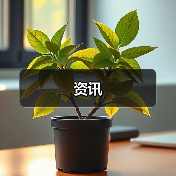 资讯（图4）
