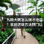 九转大肠怎么做才地道？掌握这些方法窍门让你秒变厨神！（图2）