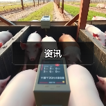 资讯(图4) 资讯(图4)