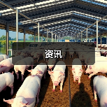 资讯(图3) 资讯(图3)
