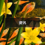 资讯(图4) 资讯(图4)