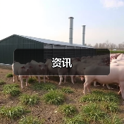 资讯(图2) 资讯(图2)