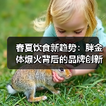 春夏饮食新趋势:胖金体爆火背后的品牌创新机会(图2) 春夏饮食新趋势:胖金体爆火背后的品牌创新机会(图2)