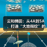云和梯田:从4A到5A,打造“大地指纹”的共富密码(图4) 云和梯田:从4A到5A,打造“大地指纹”的共富密码(图4)
