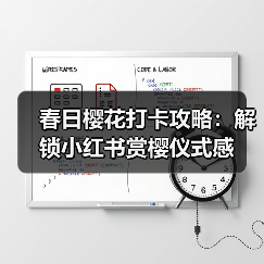 春日樱花打卡攻略：解锁小红书赏樱仪式感