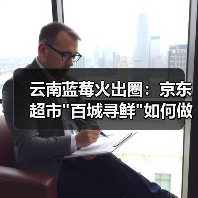 云南蓝莓火出圈:京东超市 云南蓝莓火出圈:京东超市