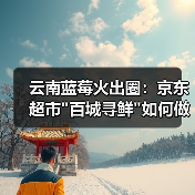 云南蓝莓火出圈:京东超市 云南蓝莓火出圈:京东超市